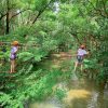 Tour công viên ozo